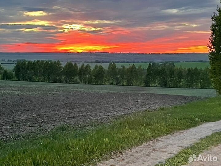 Фермерское хозяйство, орошаемые земли