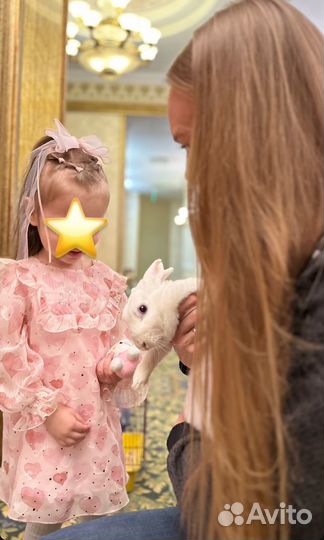 Choupette платье 92