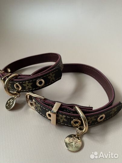 Ошейник шлейка для собак