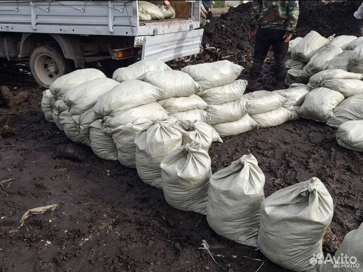 Земля чернозем плодородный