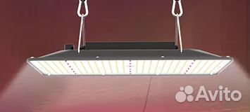 Фитолампа quantum board полный спектр 207 Вт