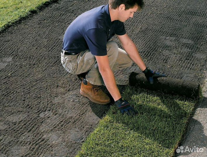 Гидропосев