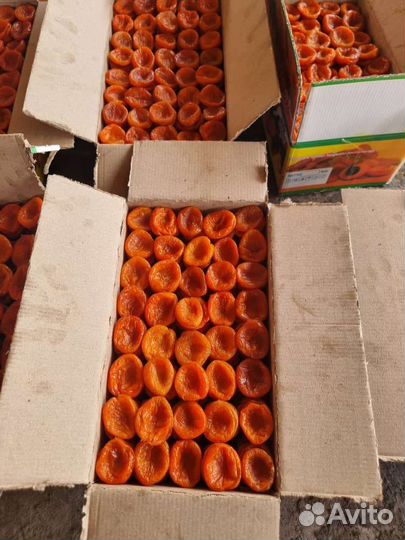 Курага натуральный новый урожай