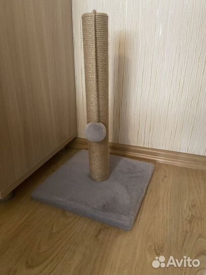 Когтеточка для кошки новая