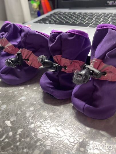 Ботиночки для мелких пород размер 6