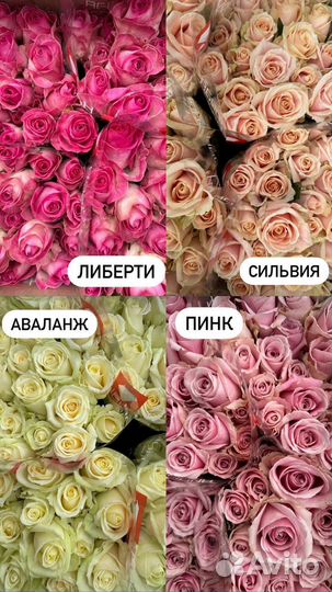 Оптовые розы качество Сочи