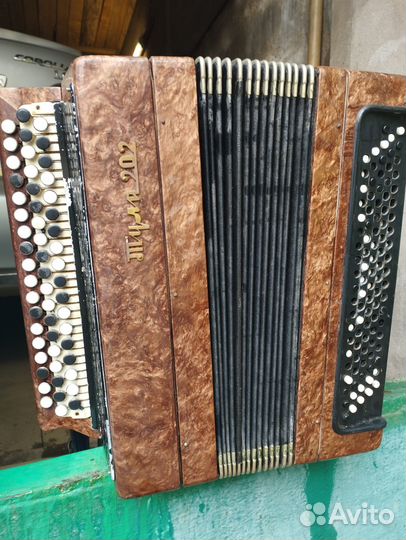 Баян тула 202