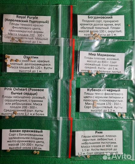 Семена помидоров томатов