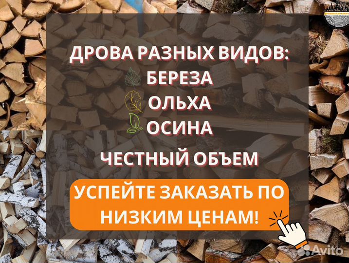 Дрова береза