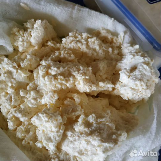 Молоко коровье домашнее