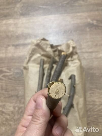 Веточки для грызунов