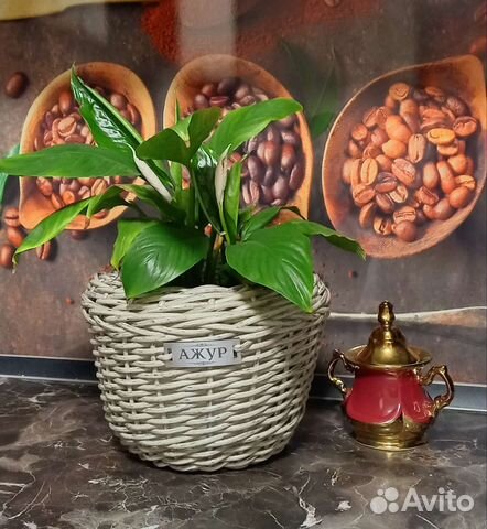 Плетёные корзины и кашпо из ротанга