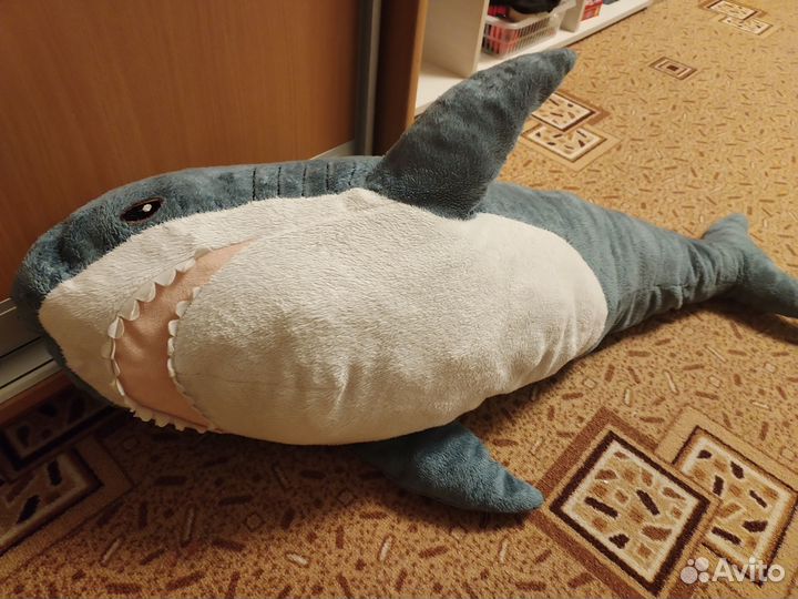 Акула блохэй Икеа