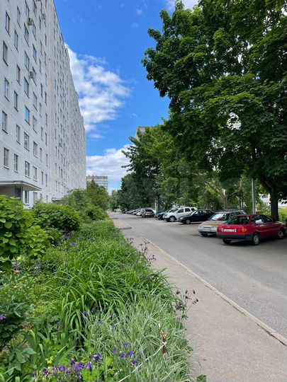 1-к. квартира, 33 м², 10/12 эт.