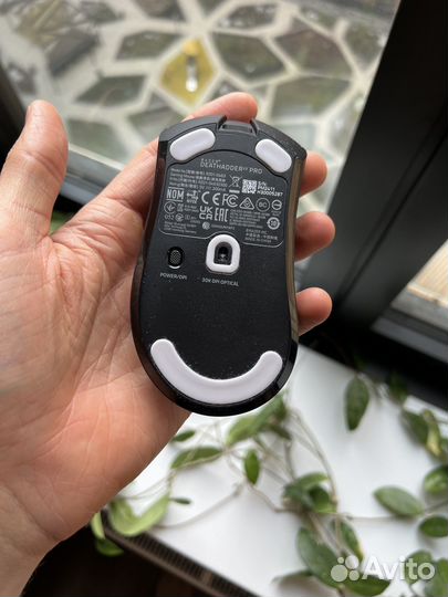 Игровая мышь razer deathadder v3 pro + донгл