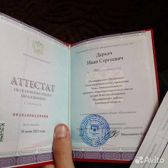 Напишу сочинение