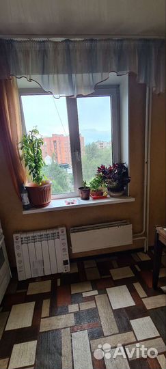 Лимонное дерево