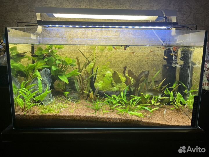 Продам аквариум