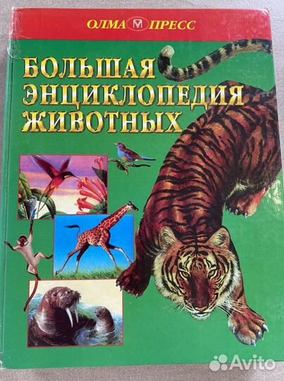 Энциклопедия для детей