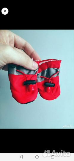 Ботинки зимние для собак