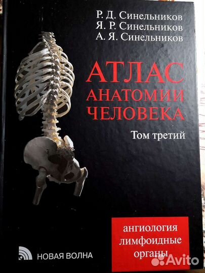 Атлас анатомии человека Синельников