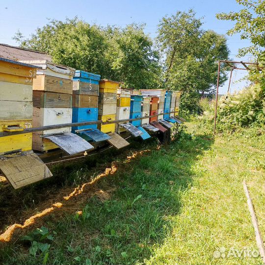 Прицеп пасека