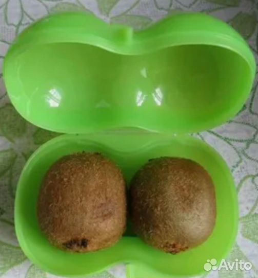 Tupperware Новый Контейнер для Киви /Яиц Винограда