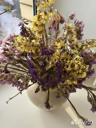 Сухоцветы для творчества