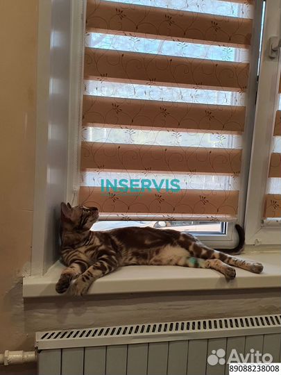 Горизонтальные жалюзи холис