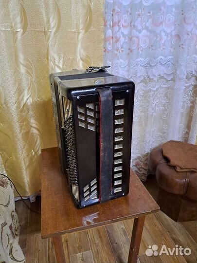 Баян Тульский, готово-выборный. Ясная Поляна