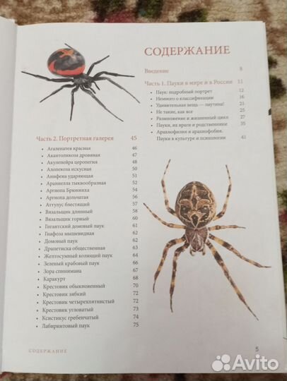 Книга энциклопедия