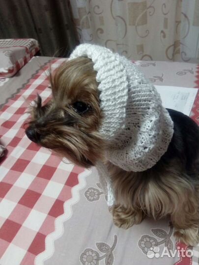 Снуд для собак