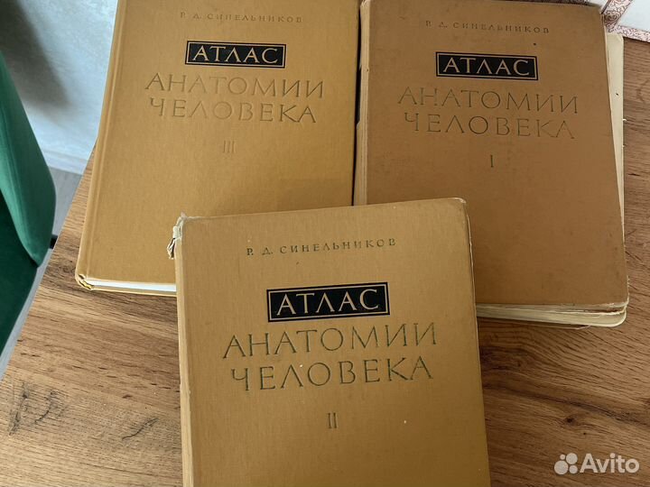 Атлас по анатомии