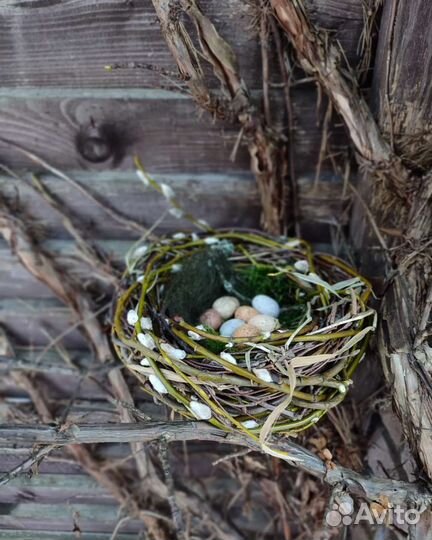 Гнездо натуральное декоративное