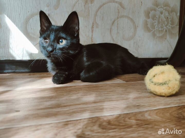 Малыш Стефан ищет добрые ручки