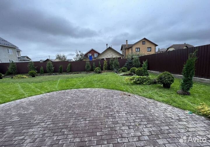 Можжевельник Блю Эрроу из питомника с доставкой