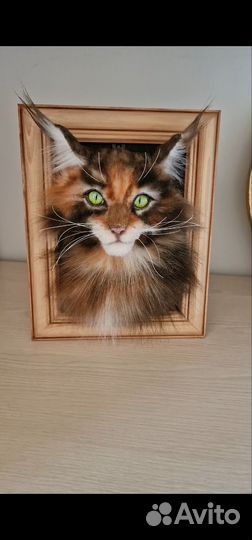 Котенок мейнкун в фоторамке