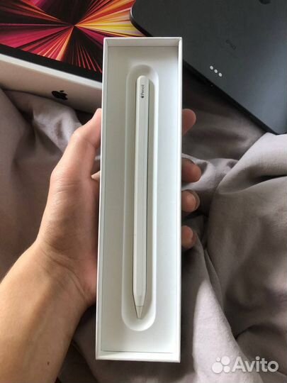 iPad pro 11 2021 m1 256 gb