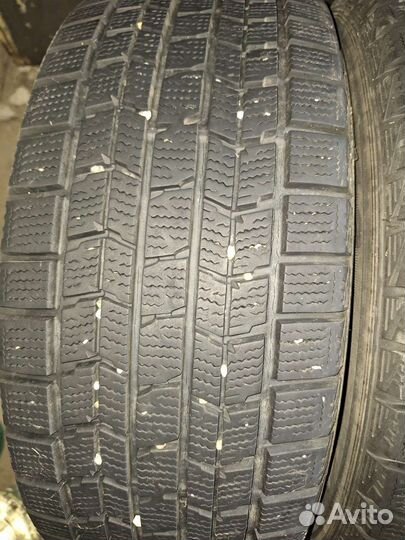 Dunlop Graspic DS3 205/55 R16
