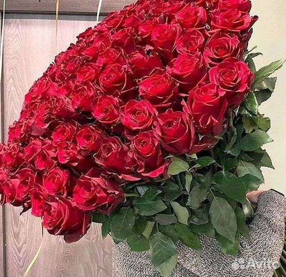 Высокие розы