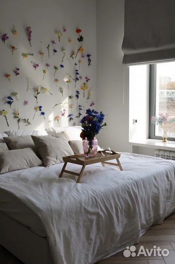 Аренда фотостудии зал Pure