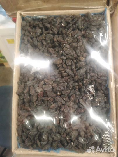 Изюм гибрид