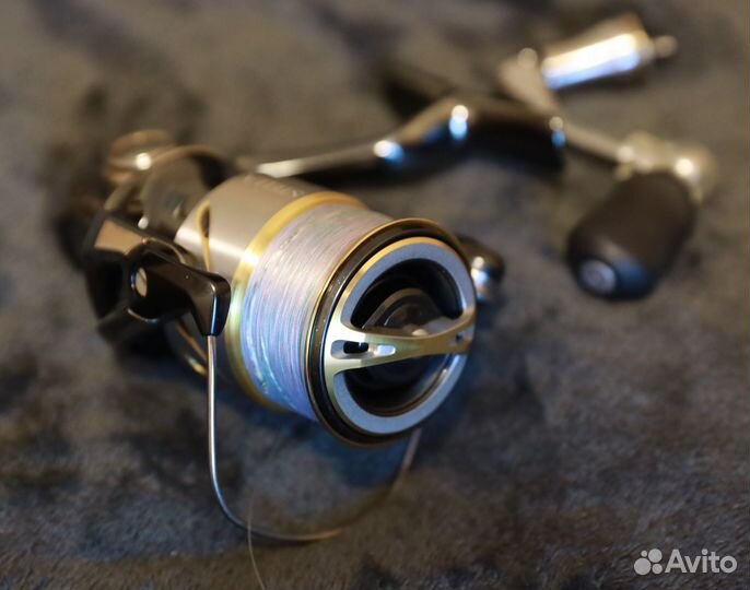 14 Stella 2500s и Vanquish 16 2500s