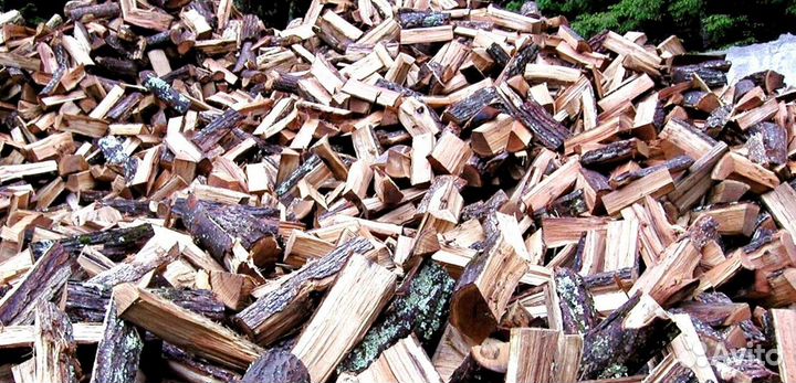 Дрова осина ольха береза