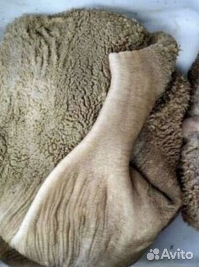 Требуха говяжья