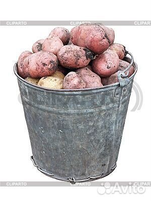 Картошка, доставка