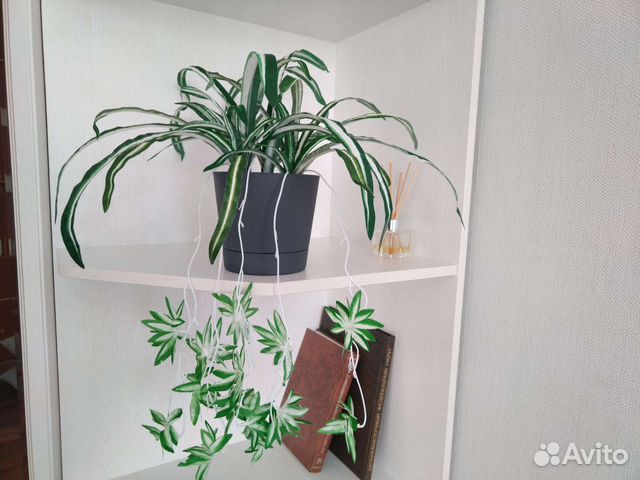 Новый искусственный цветок Хлорофитум Лиана Пальма