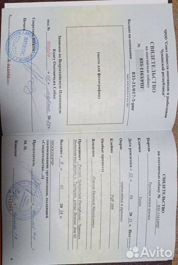 Щенки рпг 1 месяц