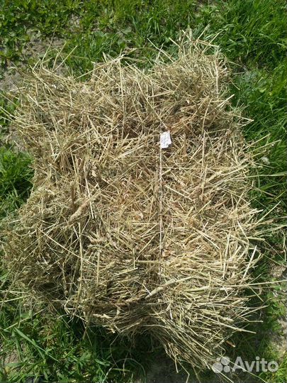 Сено, солома