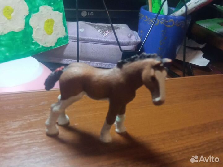 Жеребенок шляйх